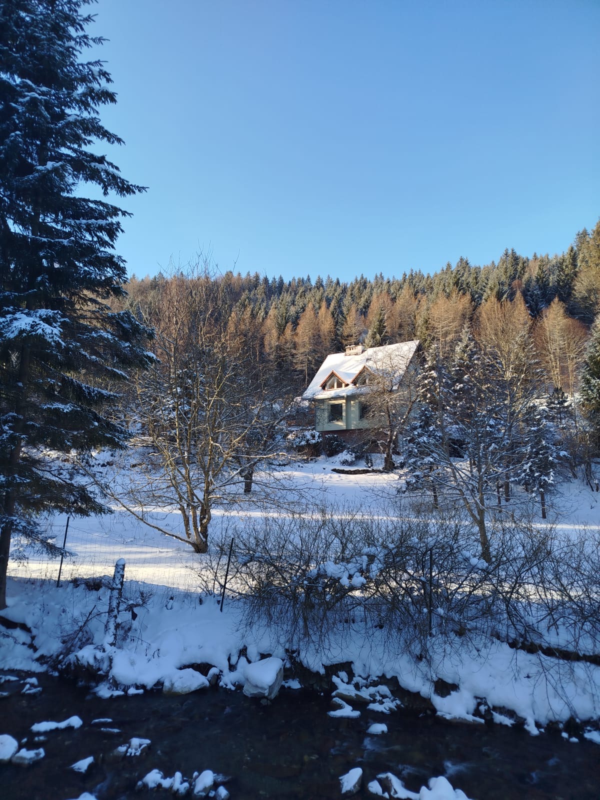 Galeria – zdjęcie 1